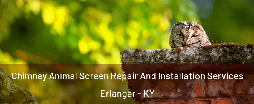  Chimney Animal Screen Repair And Installation Services Erlanger - KY