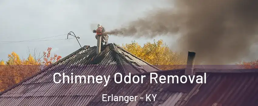  Chimney Odor Removal Erlanger - KY