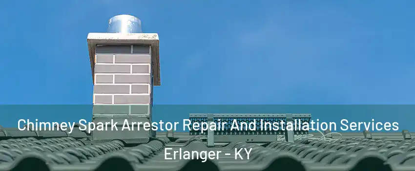  Chimney Spark Arrestor Repair And Installation Services Erlanger - KY