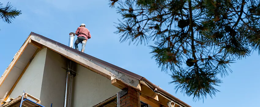 Birds Removal Contractors from Chimney in Erlanger, KY
