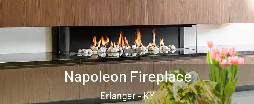  Napoleon Fireplace Erlanger - KY